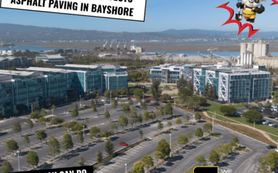 How High Humidity Affects Asphalt Paving in Bayshore — And What You Can Do About It